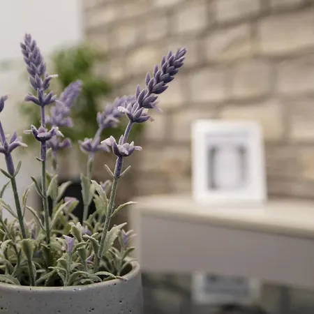 Stela - Private Terrace & Parking * Zadar